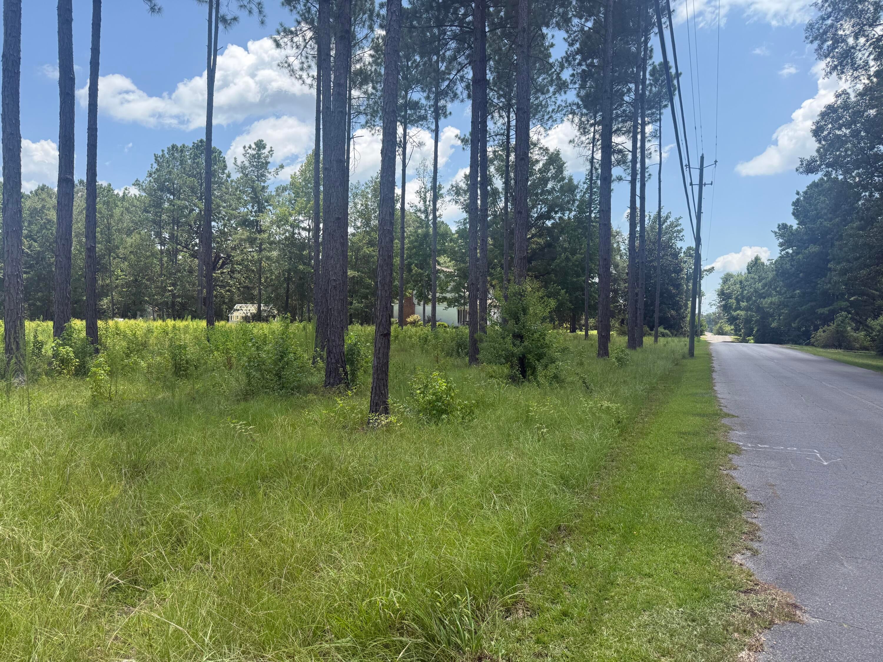 88 Pine Ridge Road Columbia, MS 39429 - Photo 1 of 12 Gallery Image 1