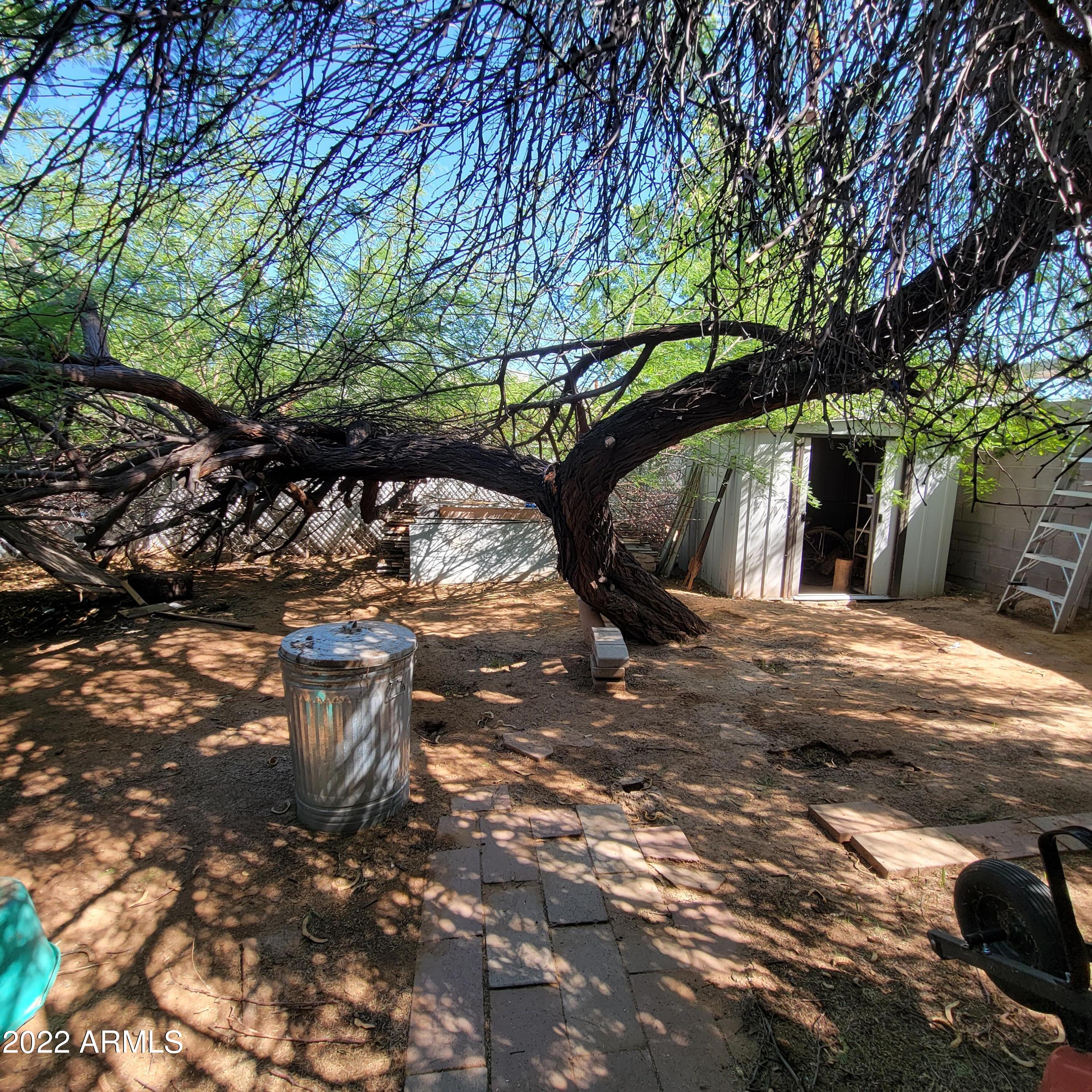 2702 East Phelps Road Phoenix, AZ 85032 - Photo 10 of 11 20220823_100629