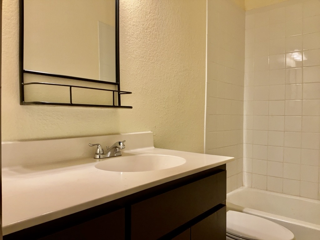 2946 Todd Trail Round Rock, TX 78665 - Photo 24 of 31 Full bathroom featuring a textured wall, vanity, and washtub / shower combination