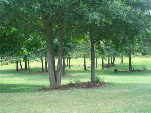 320 Winesap Road Duncan, SC 29334 - Photo 23 of 24 Gallery Image 23