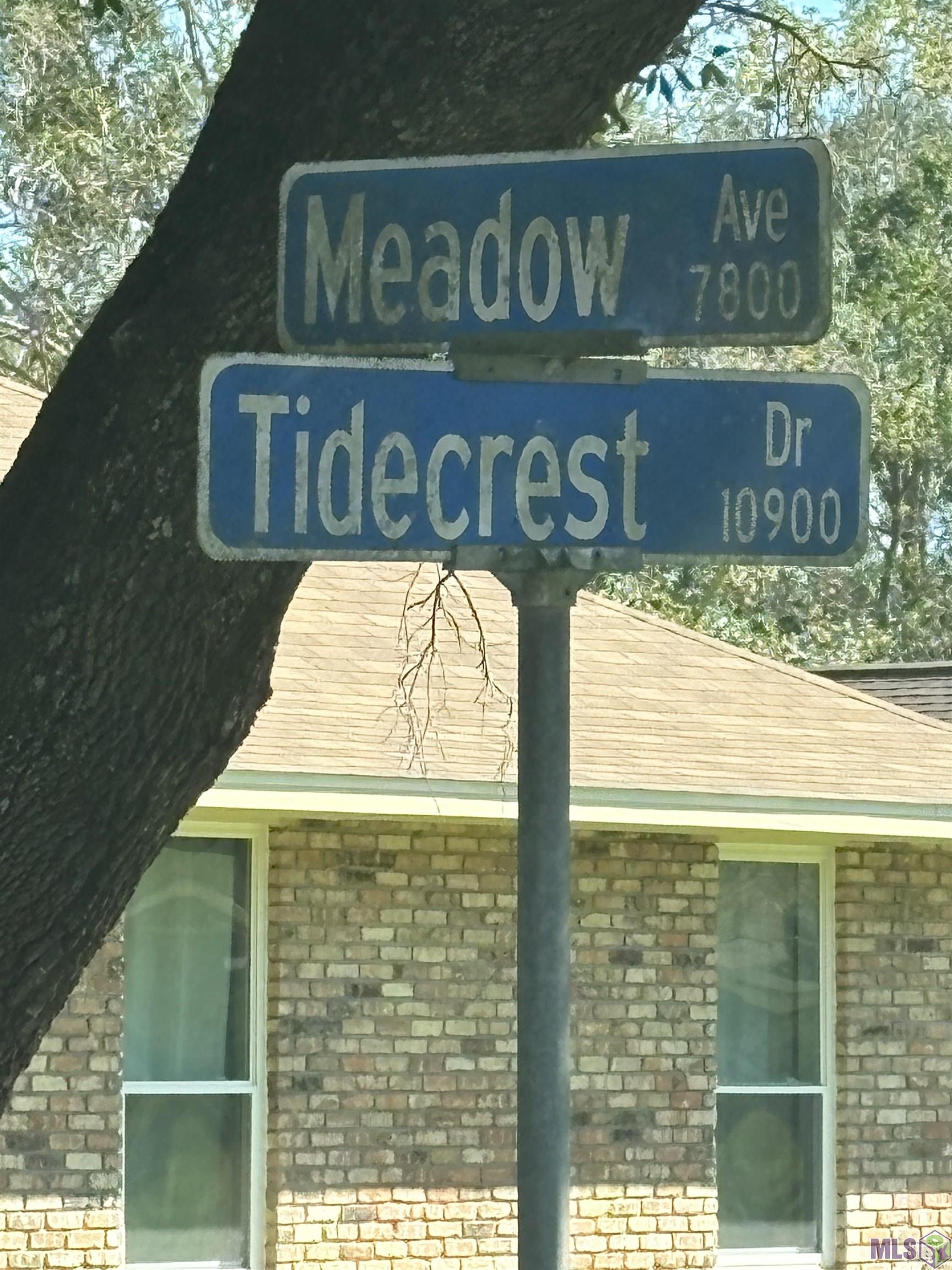 135 Tidecrest Drive Baton Rouge, LA 70811 - Photo 3 of 6