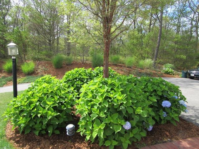 18 Tiffany Road Bourne, MA 02532 - Photo 34 of 35 Additional Photo