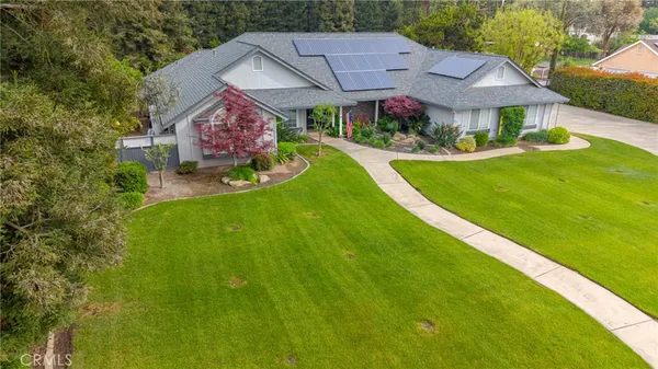 a view of a house with a big yard potted plants and a large tree