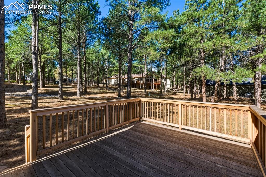 460 St Moritz Way Monument, CO 80132 - Photo 40 of 43