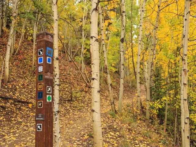 $5,585,000 | 166 Woods Drive, Unit 2, Breckenridge, CO 80424