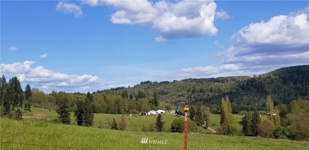 0 Swofford Road Mossyrock, WA 98564 - Photo 4 of 10 Gallery Image 4