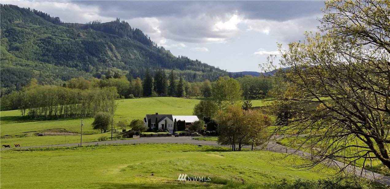 0 Swofford Road Mossyrock, WA 98564 - Photo 9 of 10 Gallery Image 9