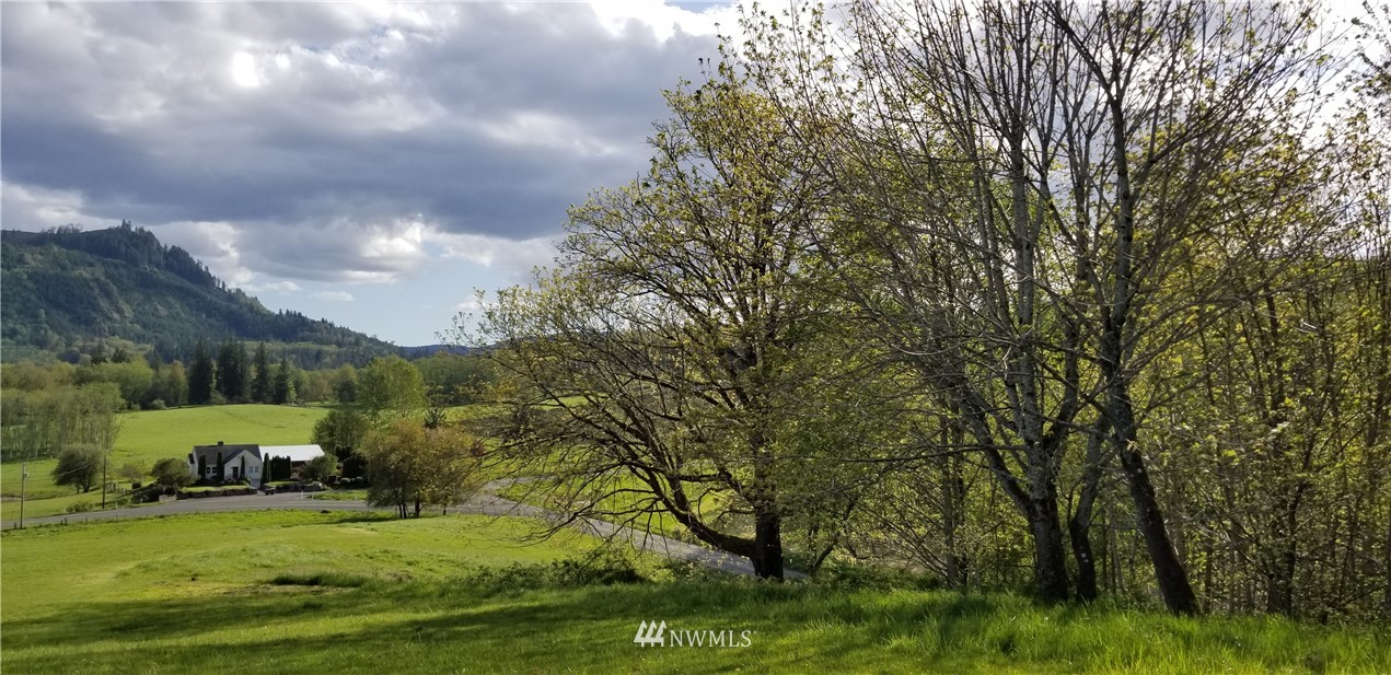 0 Swofford Road Mossyrock, WA 98564 - Photo 10 of 10 Gallery Image 10