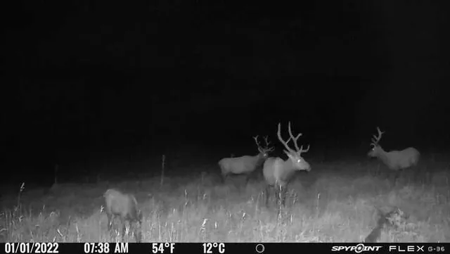 a view of living room