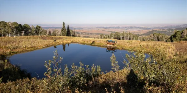 $15,000,000 | 50166 County Road 80, Hayden, CO 81639