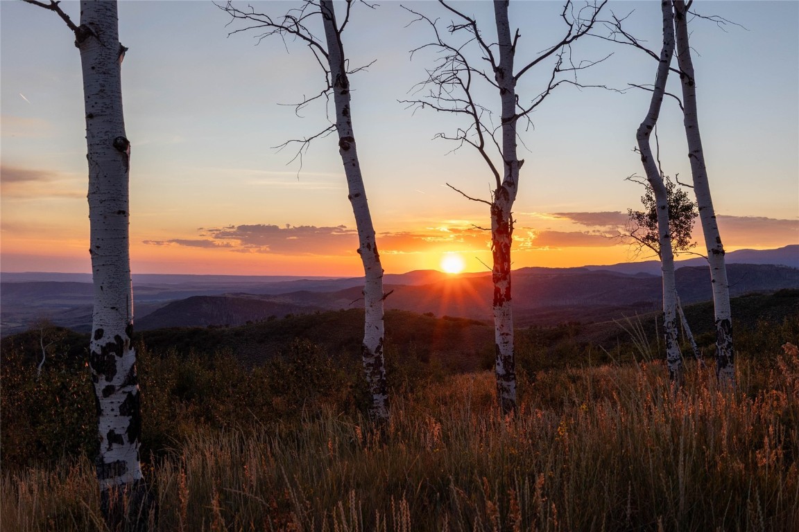 50166 County Road 80 Hayden, CO 81639 - Photo 30 of 50 a view of a backyard of a house with a yard