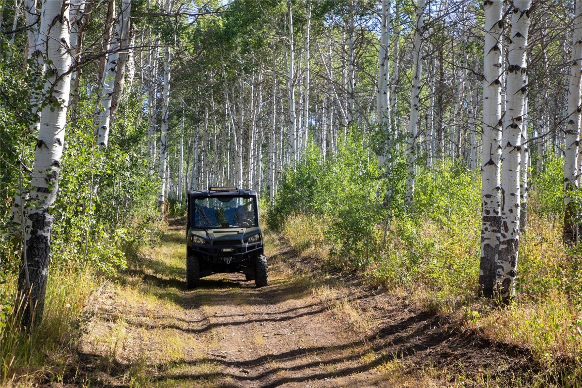 50166 County Road 80 Hayden, CO 81639 - Photo 37 of 50 a tall building with trees in the background