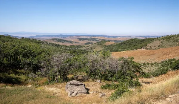 $15,000,000 | 50166 County Road 80, Hayden, CO 81639