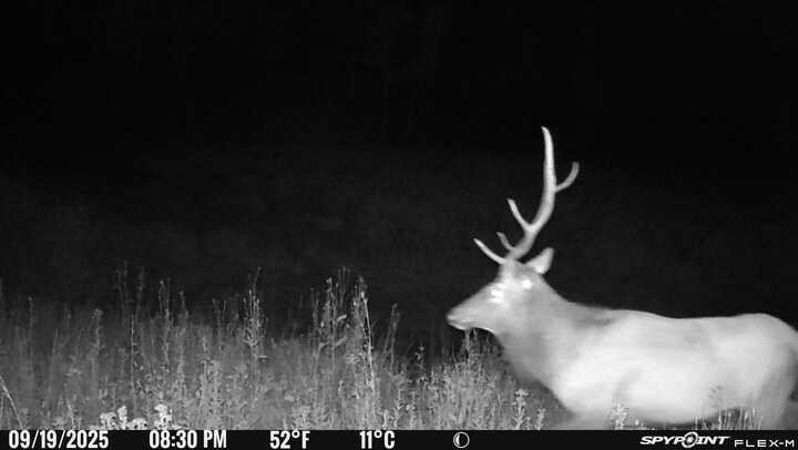 50166 County Road 80 Hayden, CO 81639 - Photo 6 of 50 a picture of a room