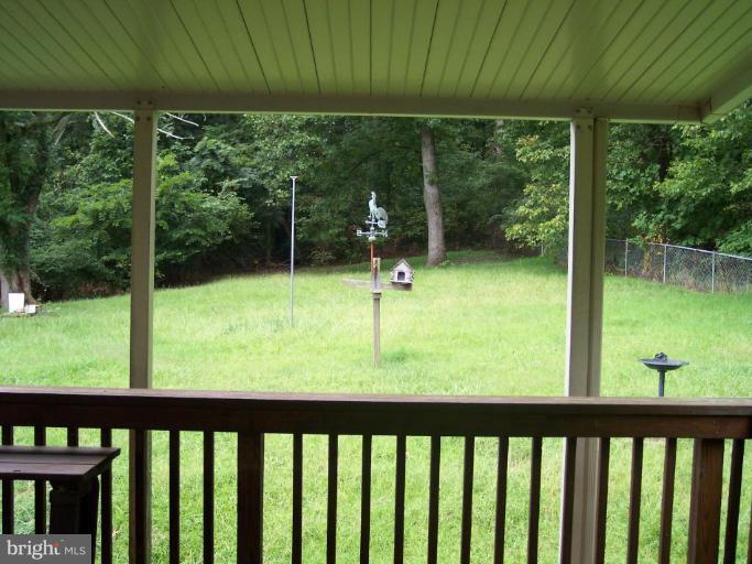 Back yard