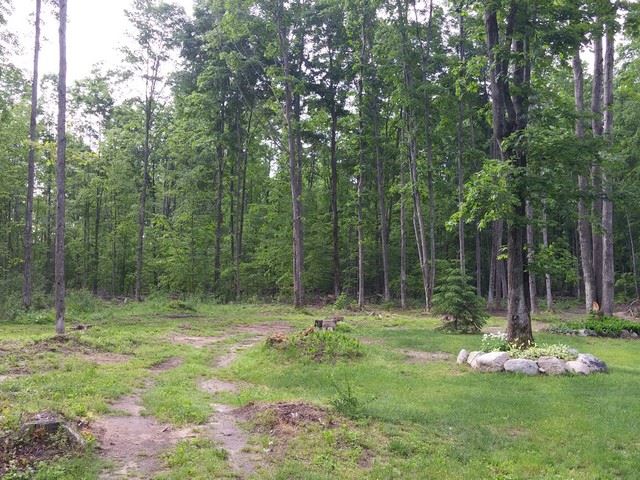 4400 Soderquist Road Mancelona, MI 49659 - Photo 43 of 61 1801697-44.JPG