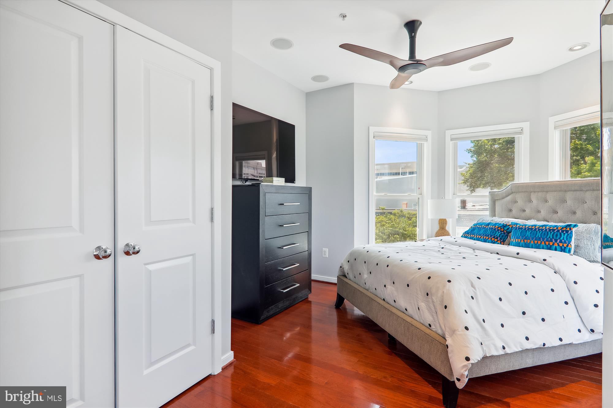 926 3rd Street Southeast Washington, DC 20003 - Photo 29 of 64 Big Closet in Guest Bedroom