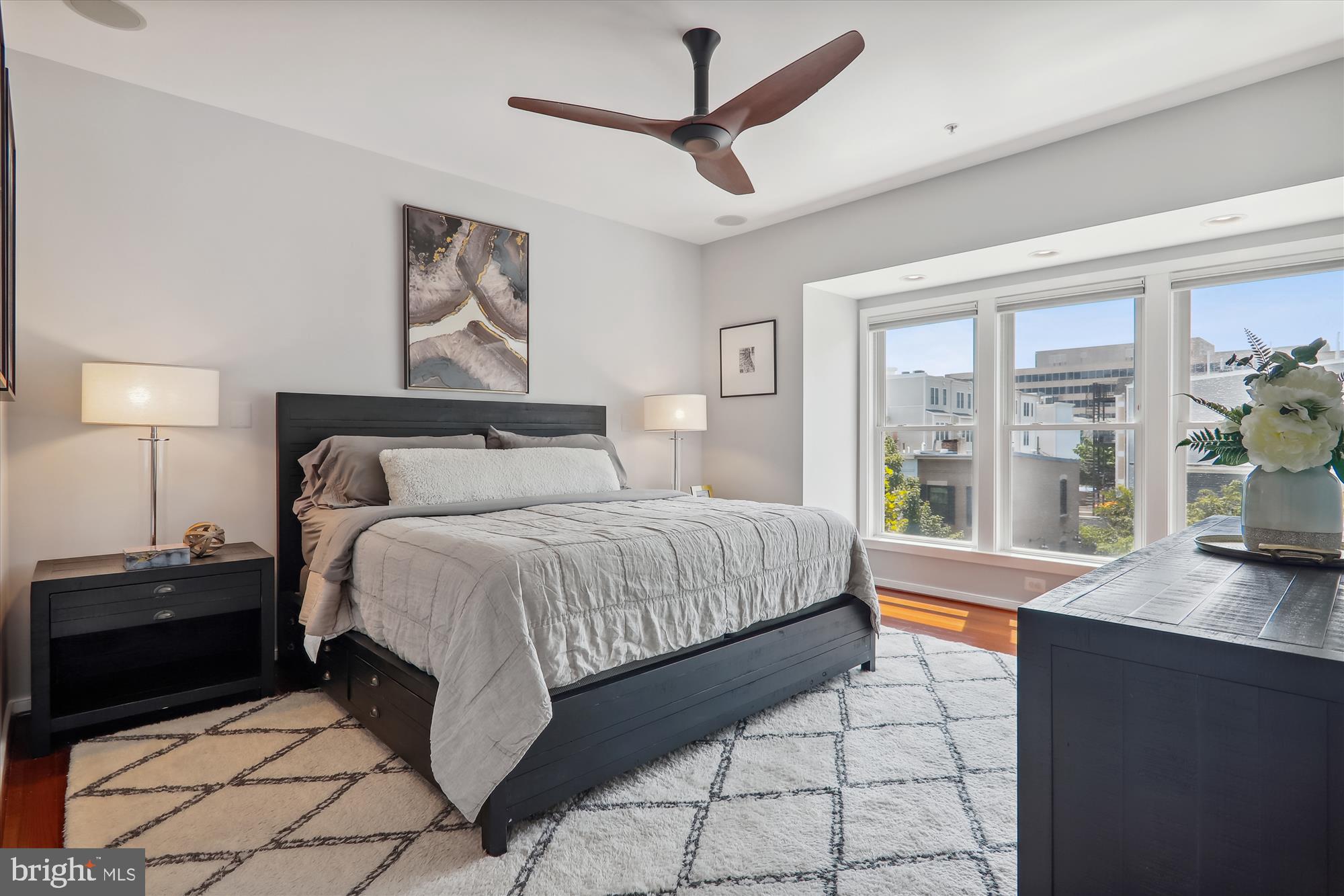 926 3rd Street Southeast Washington, DC 20003 - Photo 36 of 64 Large & Bright Windows