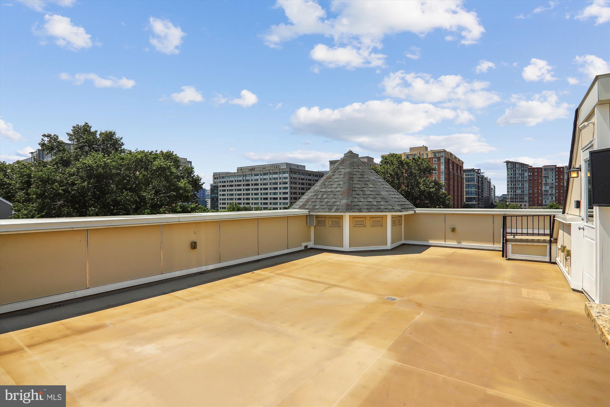 926 3rd Street Southeast Washington, DC 20003 - Photo 46 of 64 Large Open Roof Deck