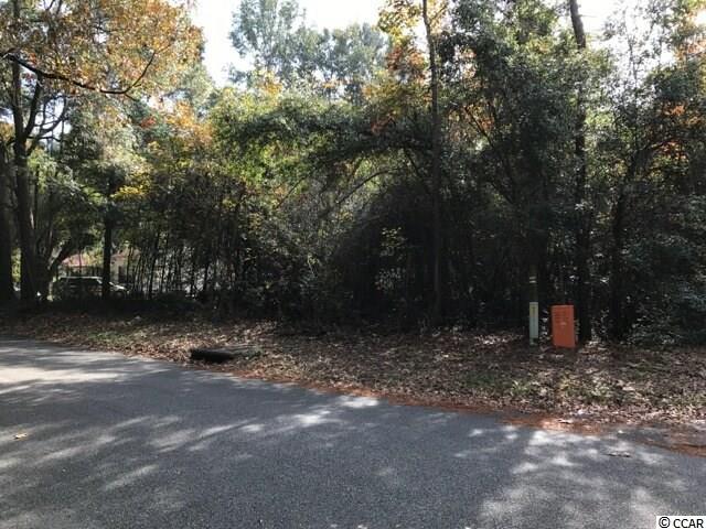 Lot 10 Reddick Road Conway, SC 29526 - Photo 1 of 5 Gallery Image 1