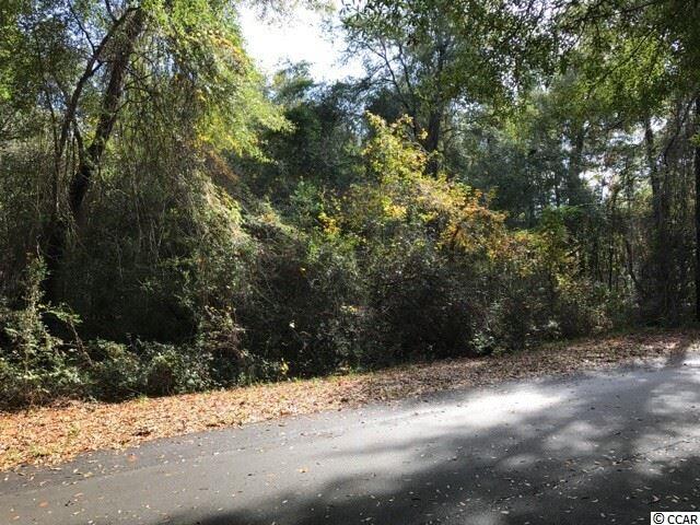 Lot 10 Reddick Road Conway, SC 29526 - Photo 3 of 5 Gallery Image 3