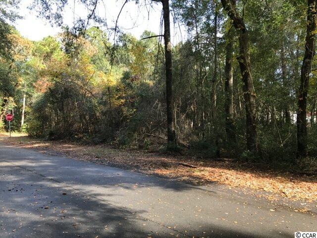 Lot 10 Reddick Road Conway, SC 29526 - Photo 4 of 5 Gallery Image 4