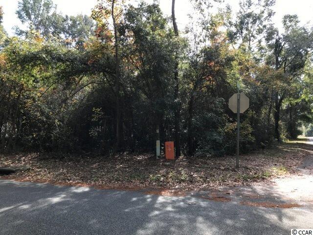 Lot 10 Reddick Road Conway, SC 29526 - Photo 5 of 5 Gallery Image 5