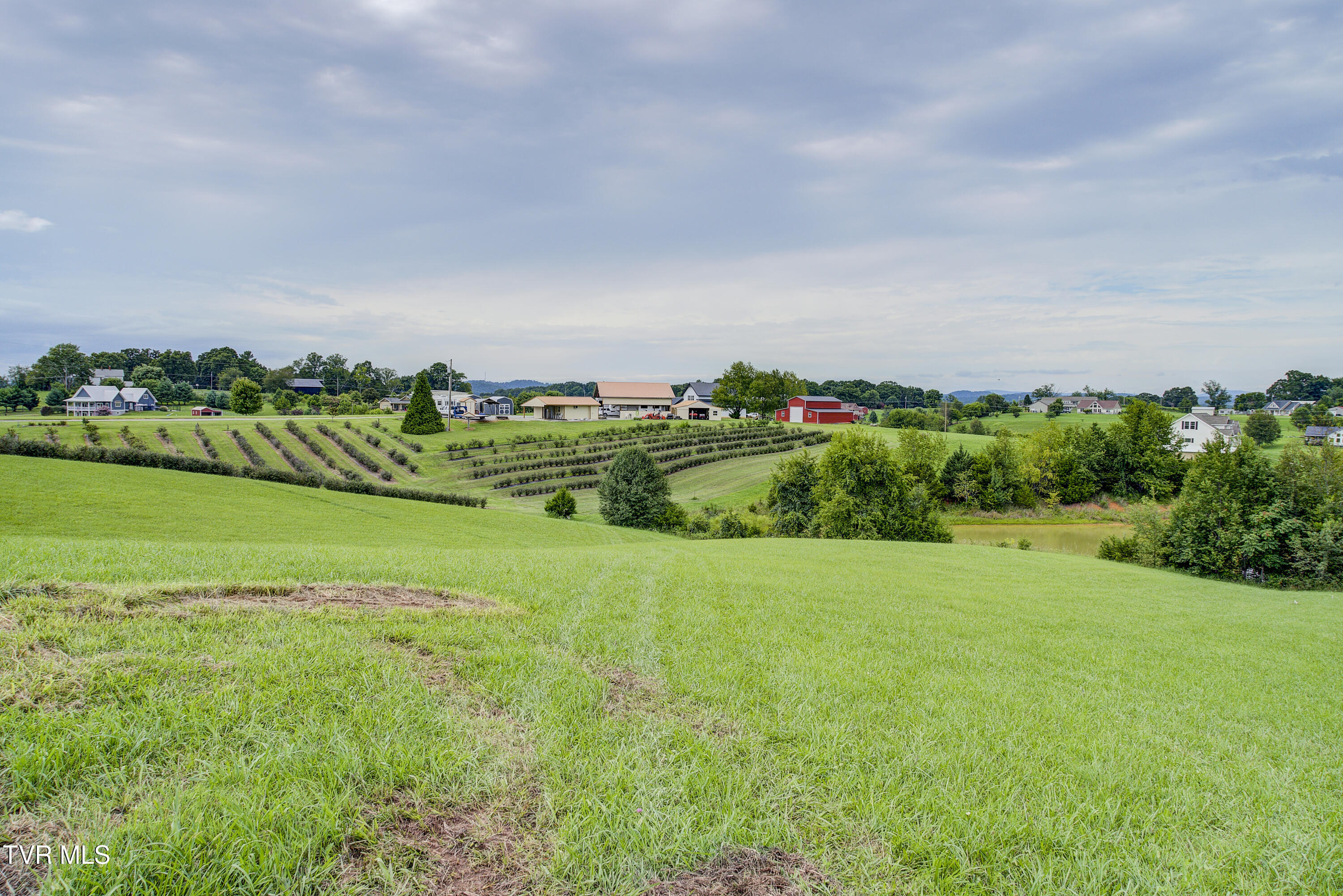 Tbd Mae McKee Road Chuckey, TN 37641 - Photo 12 of 32 Mae--10