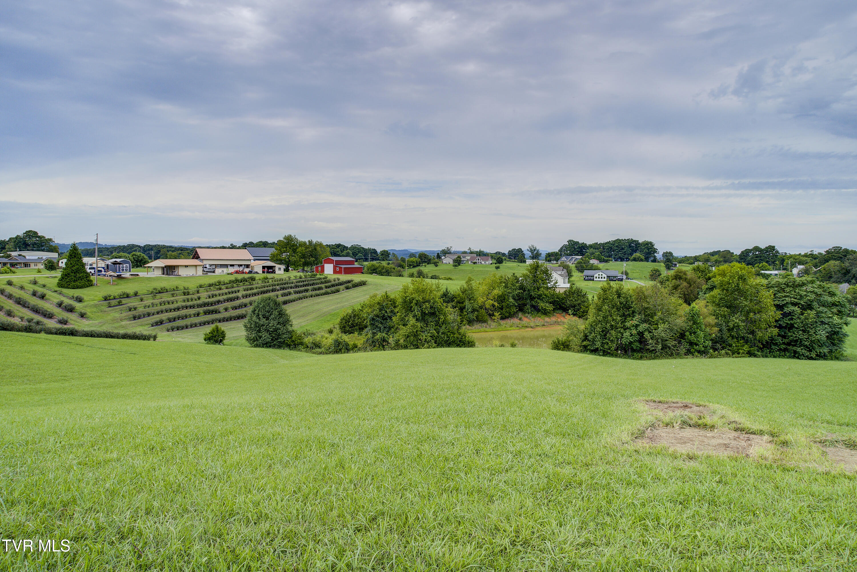 Tbd Mae McKee Road Chuckey, TN 37641 - Photo 4 of 32 Mae--2