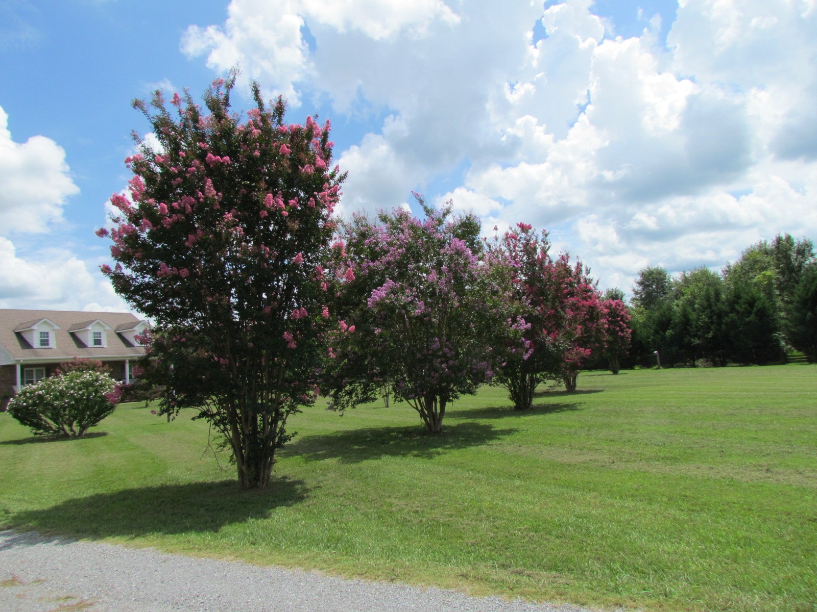 1345 Rutledge Ln. Lebanon, TN 37087 - Photo 38 of 43 Gallery Image 38