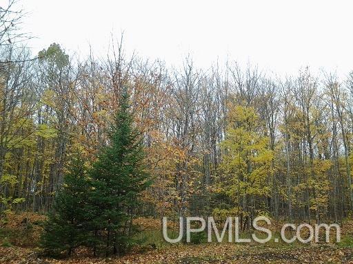 Tbd Whitefish Road Chatham, MI 49816 - Photo 2 of 30