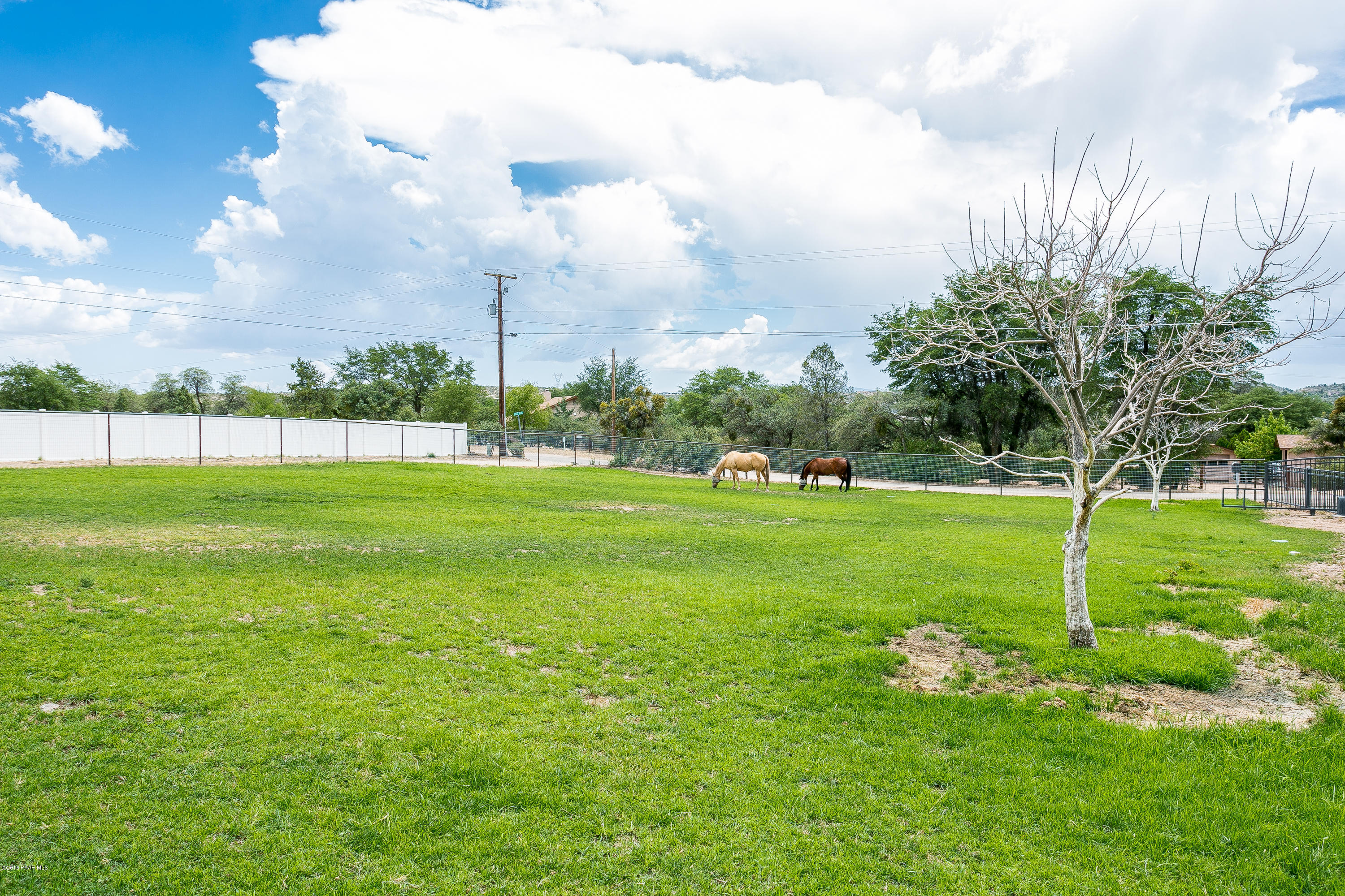 1520 West Oneal Road Prescott, AZ 86305 - Photo 19 of 24 025_Pasture