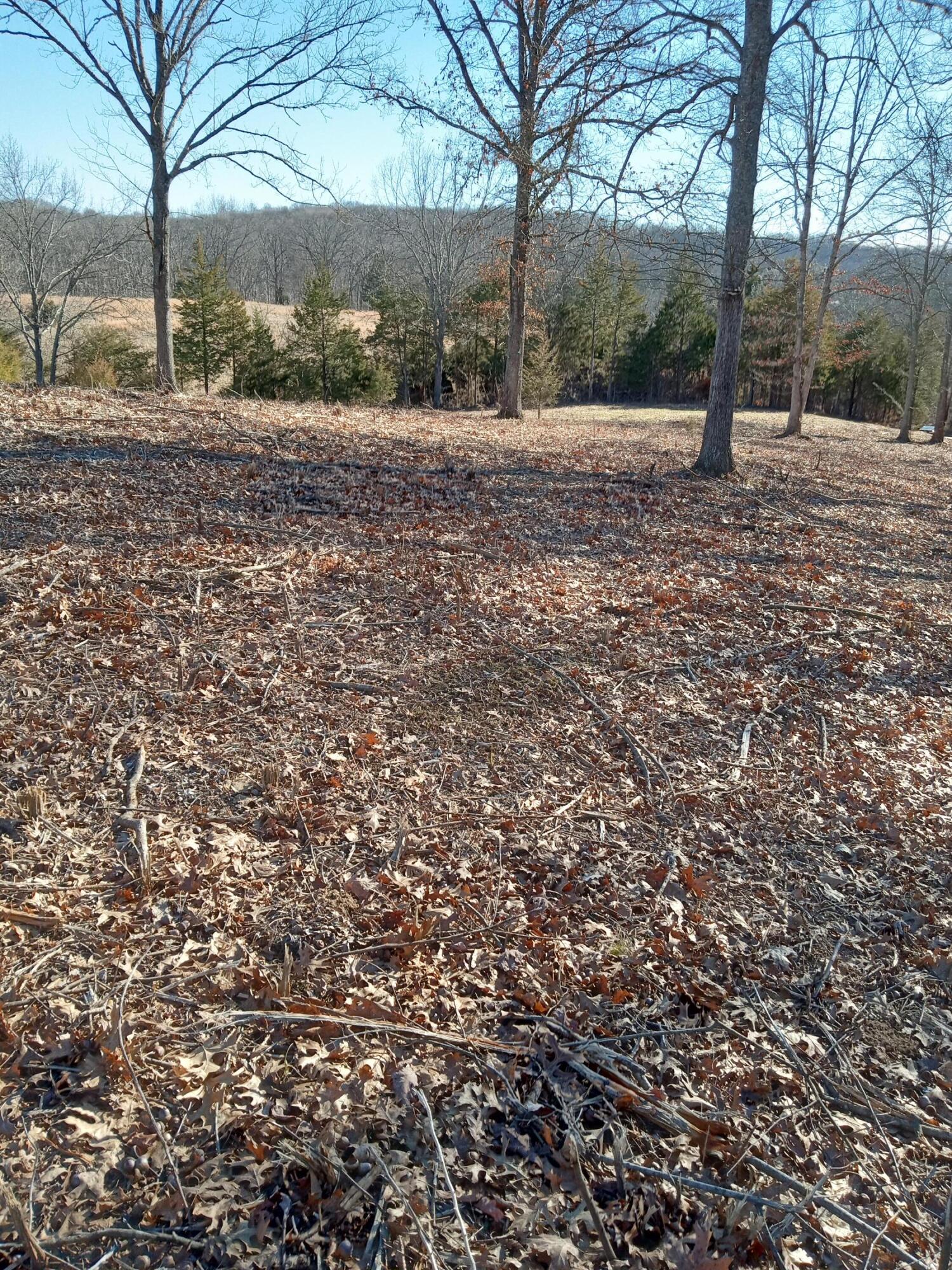 5631 Gest Road Pleasureville, KY 40057 - Photo 1 of 20 Gallery Image 1