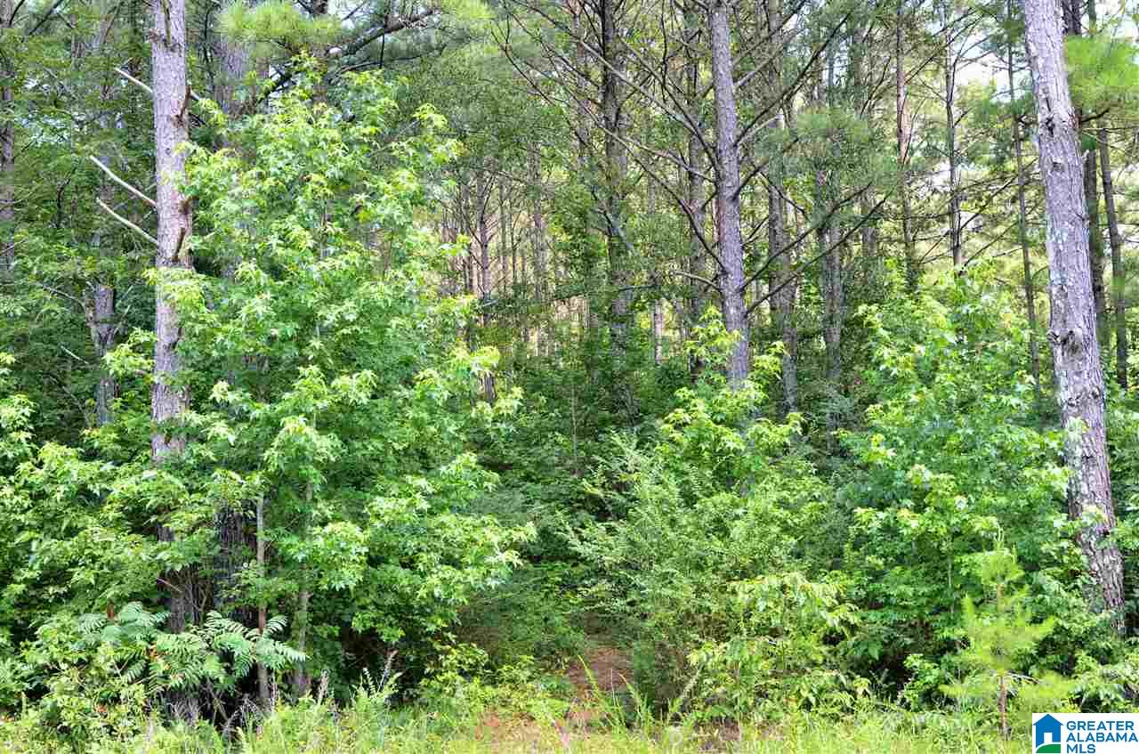 1660 New Liberty Road, Unit X Wellington, AL 36279 - Photo 1 of 5