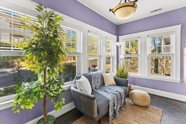 a living room with furniture and a potted plant