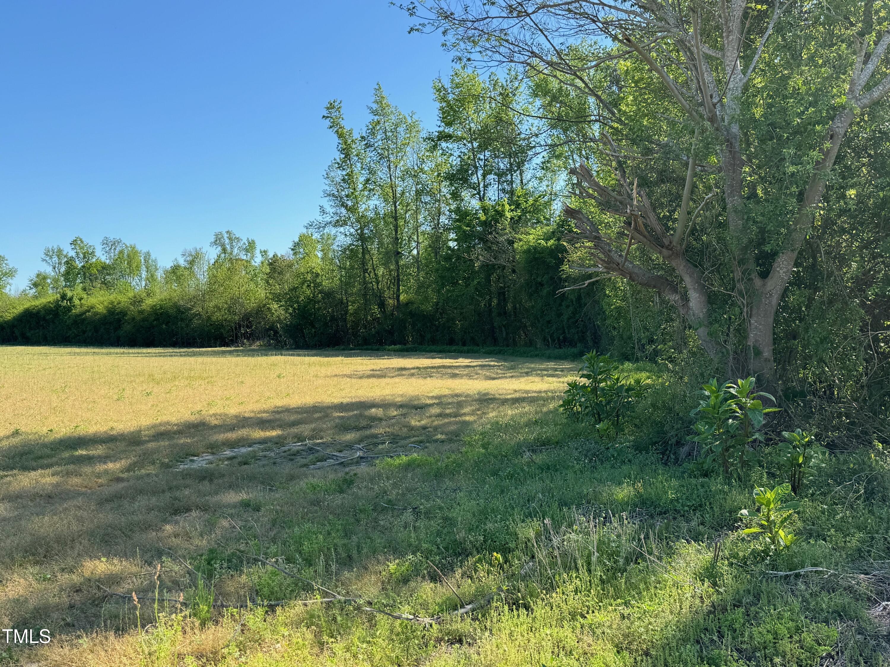 8188 Norris Road Dunn, NC 28334 - Photo 11 of 17 IMG_3338
