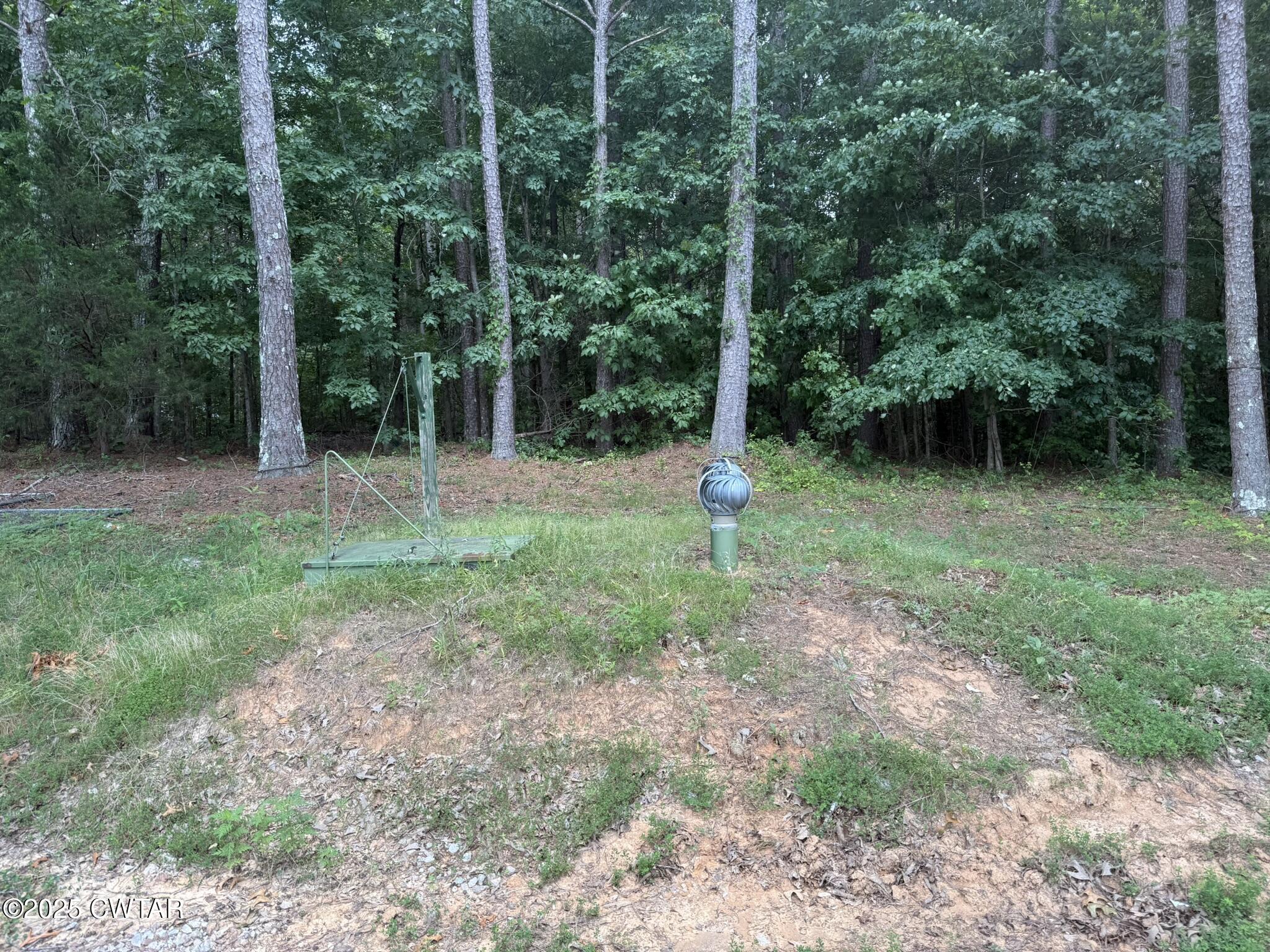 325 Jennings Road Reagan, TN 38368 - Photo 10 of 10 a view of outdoor space with trees all around