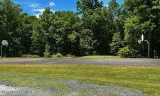 307 Timber Hill Road Henryville, PA 18332 - Photo 41 of 44 39 Basketball Court