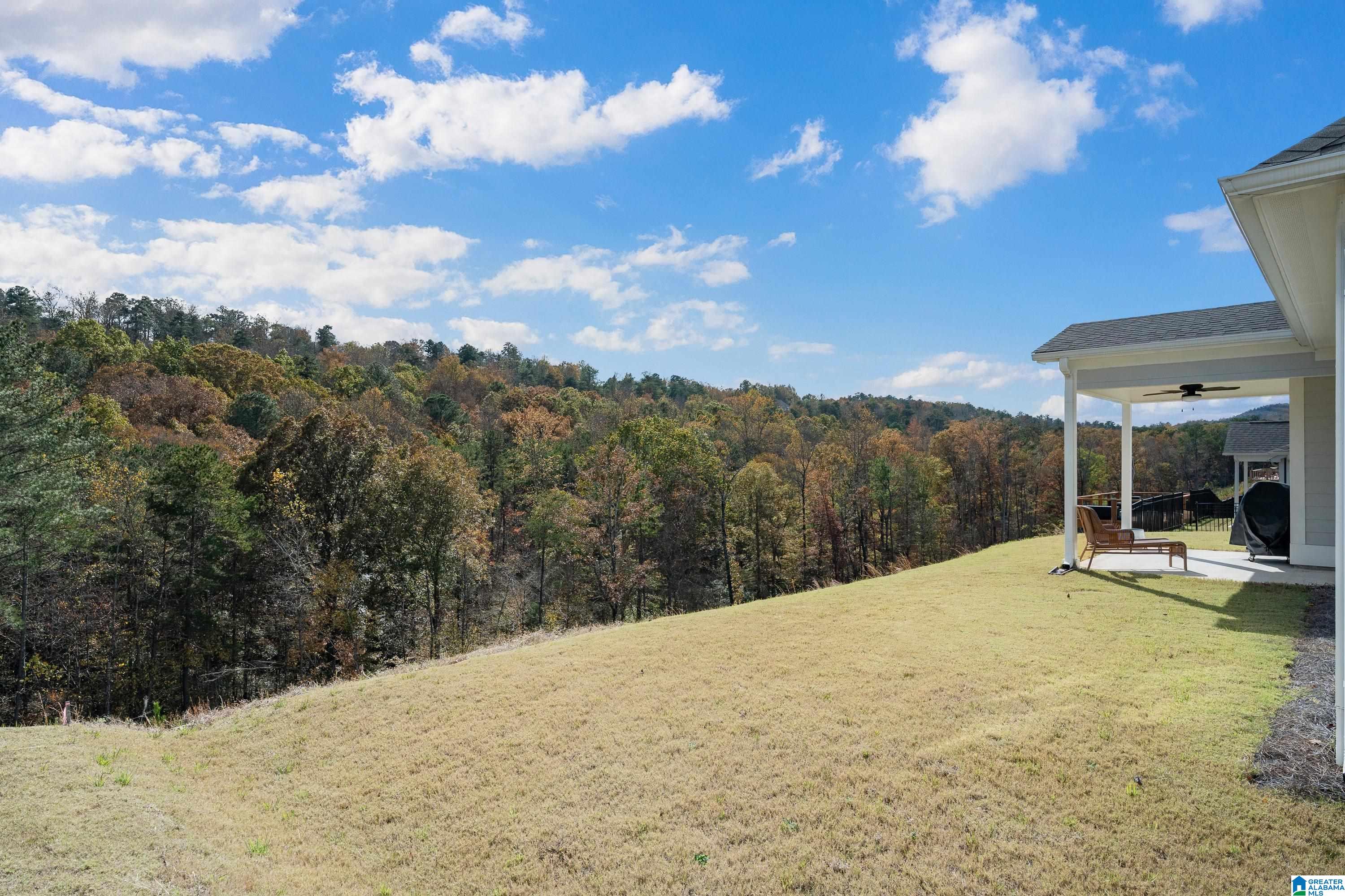 208 Atlantic Lane Birmingham, AL 35242 - Photo 36 of 36