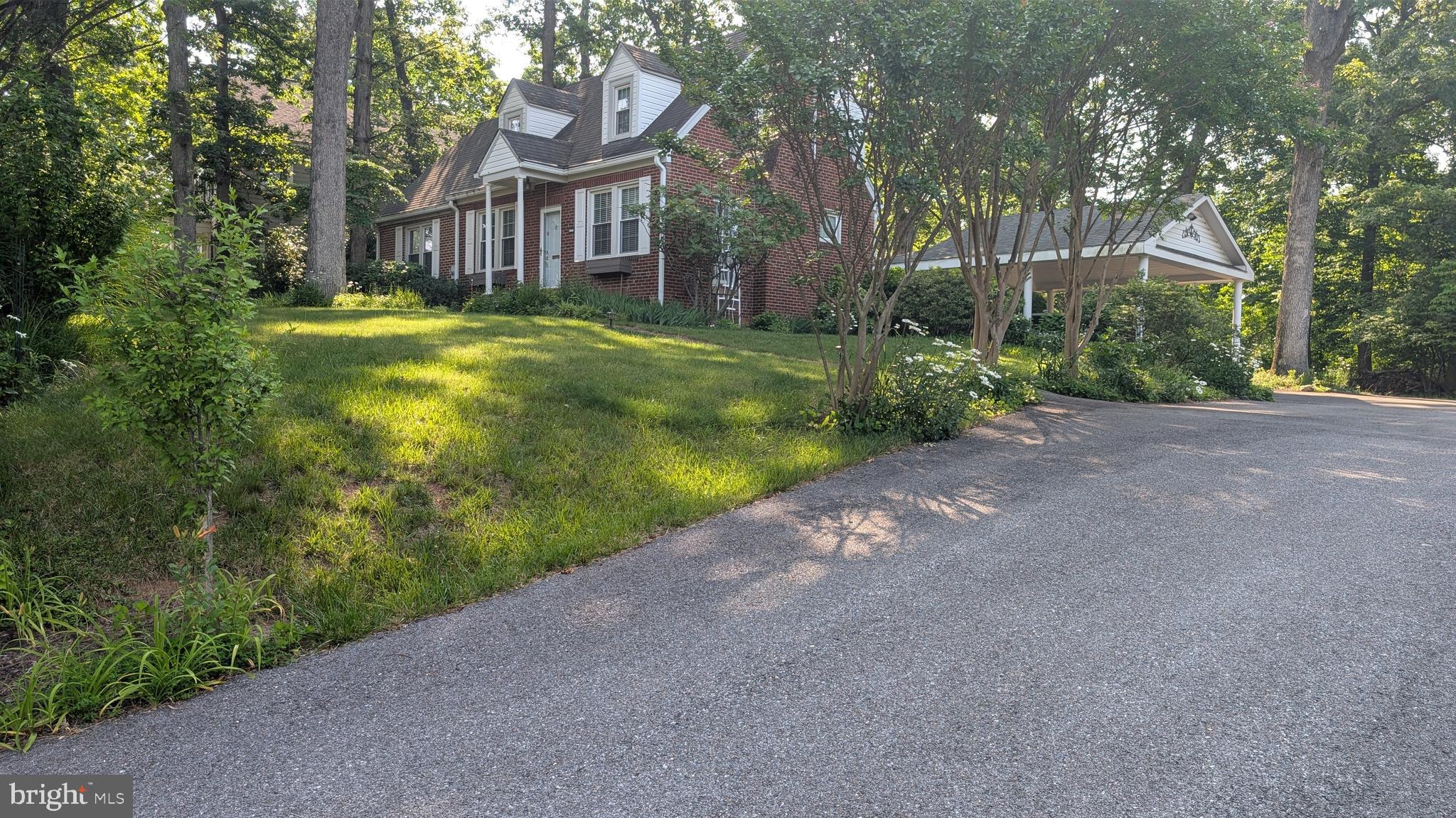 1903 Kirby Road McLean, VA 22101 - Photo 2 of 11 a view of a big yard with plants and large trees