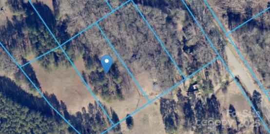 a view of under tree