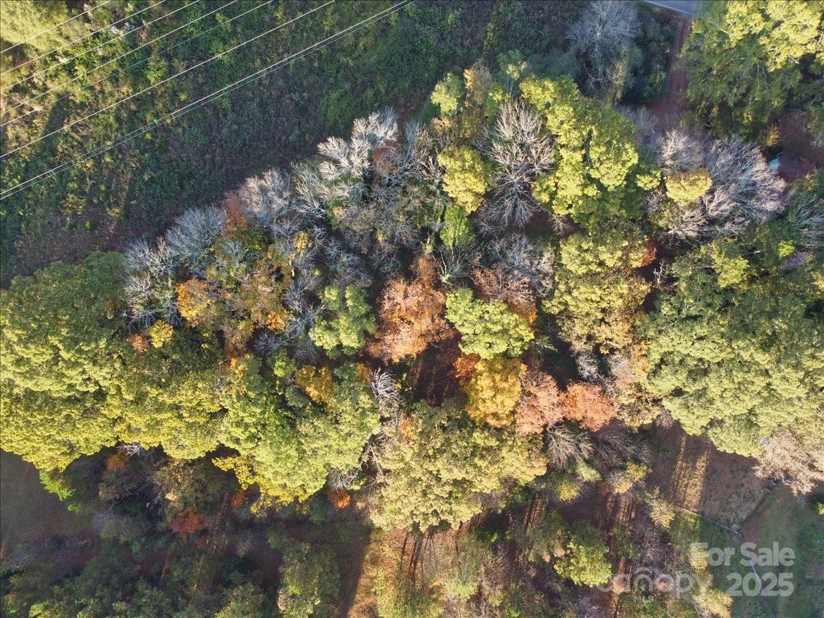 11484 Bethel Church Road Midland, NC 28107 - Photo 19 of 30 a flower in a garden