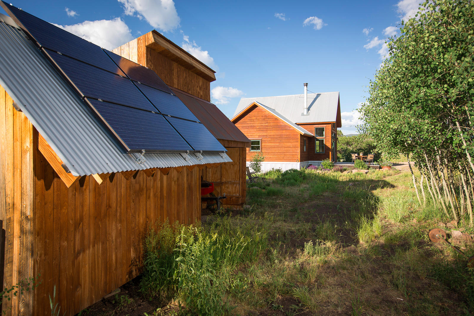 799 Harcourt Trail Placerville, CO 81430 - Photo 15 of 29 a backyard of a house with a yard and outdoor seating