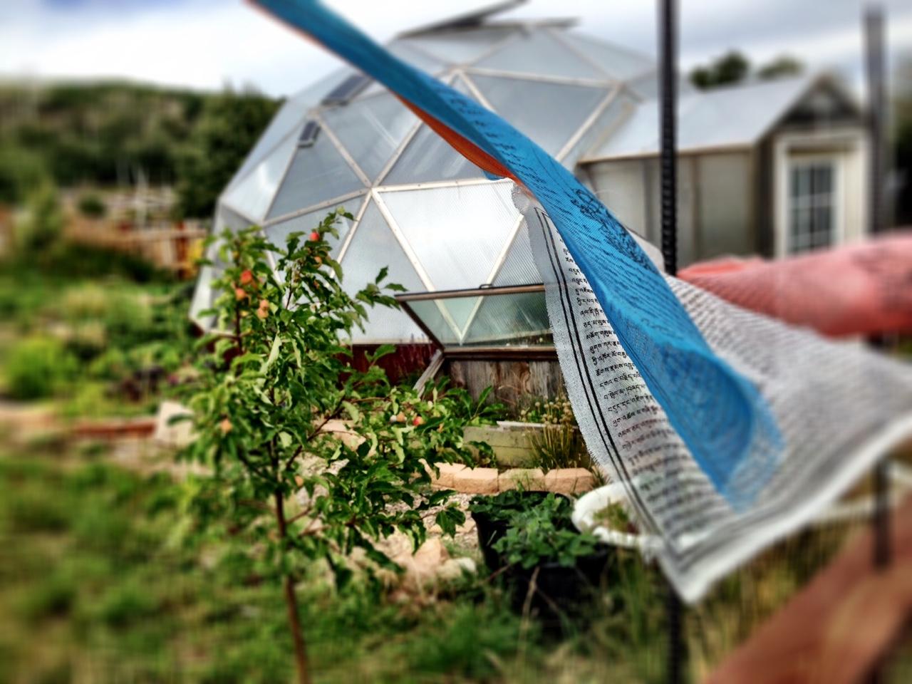 799 Harcourt Trail Placerville, CO 81430 - Photo 16 of 29