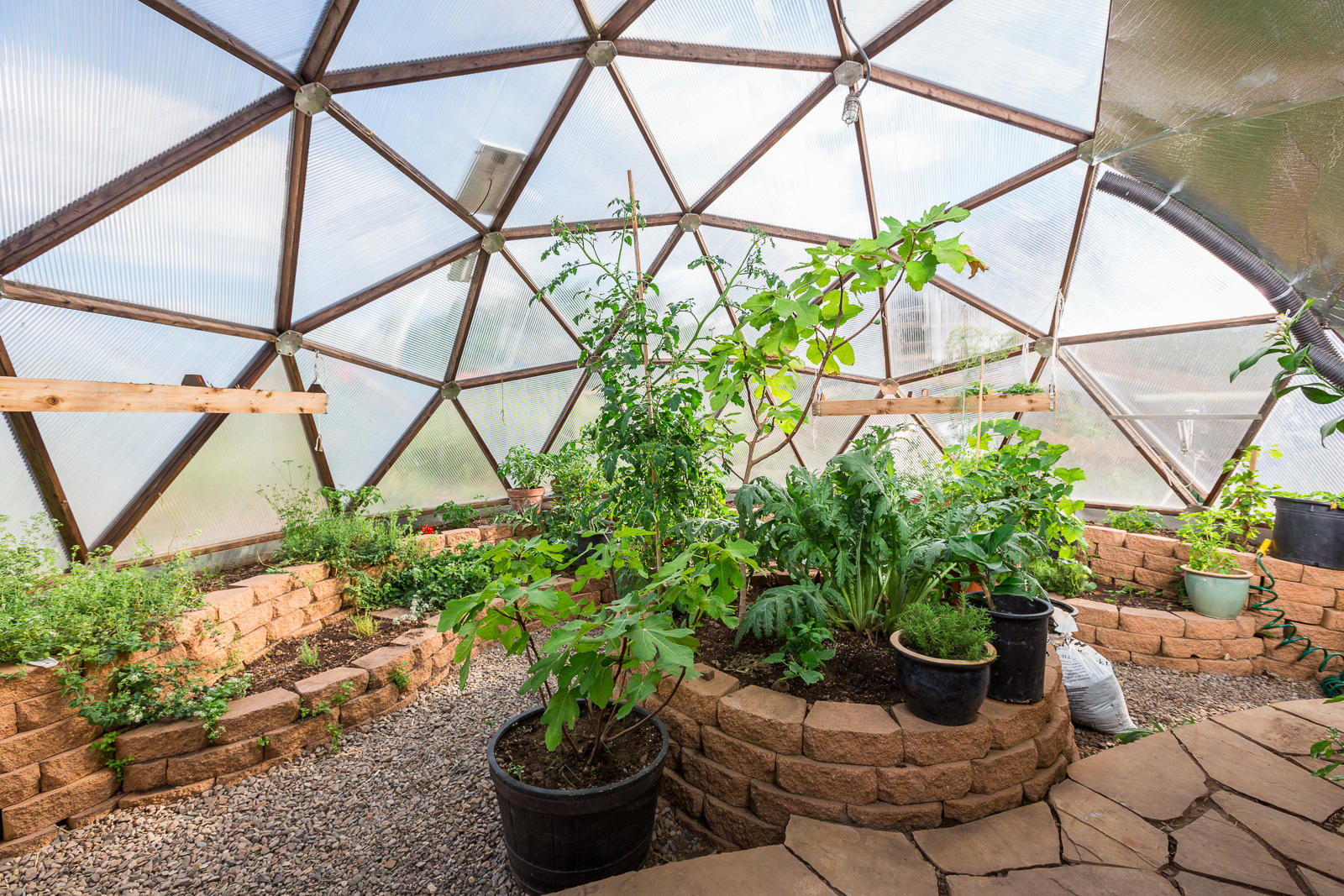 799 Harcourt Trail Placerville, CO 81430 - Photo 17 of 29 a view of a potted plants in a backyard