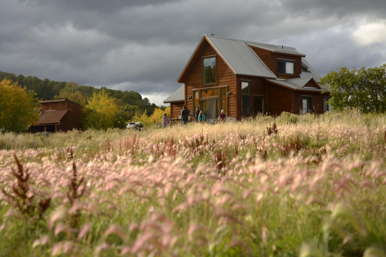 799 Harcourt Trail Placerville, CO 81430 - Photo 19 of 29 a front view of a house with a yard