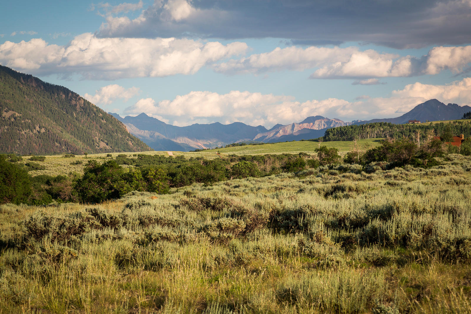 799 Harcourt Trail Placerville, CO 81430 - Photo 22 of 29 a view of a city with mountains in the background