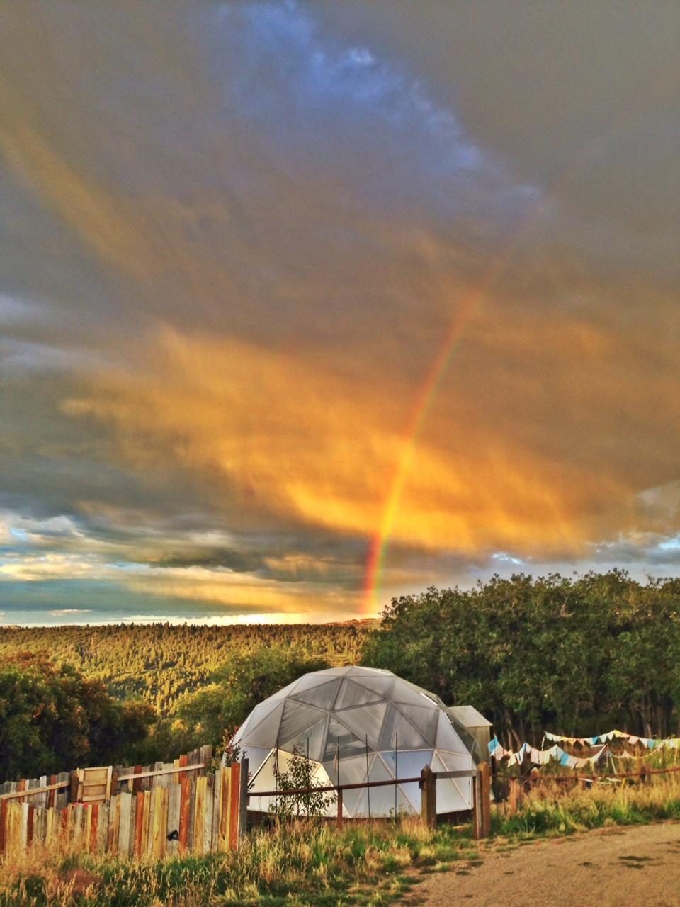 799 Harcourt Trail Placerville, CO 81430 - Photo 23 of 29 a view of a lake with a mountain