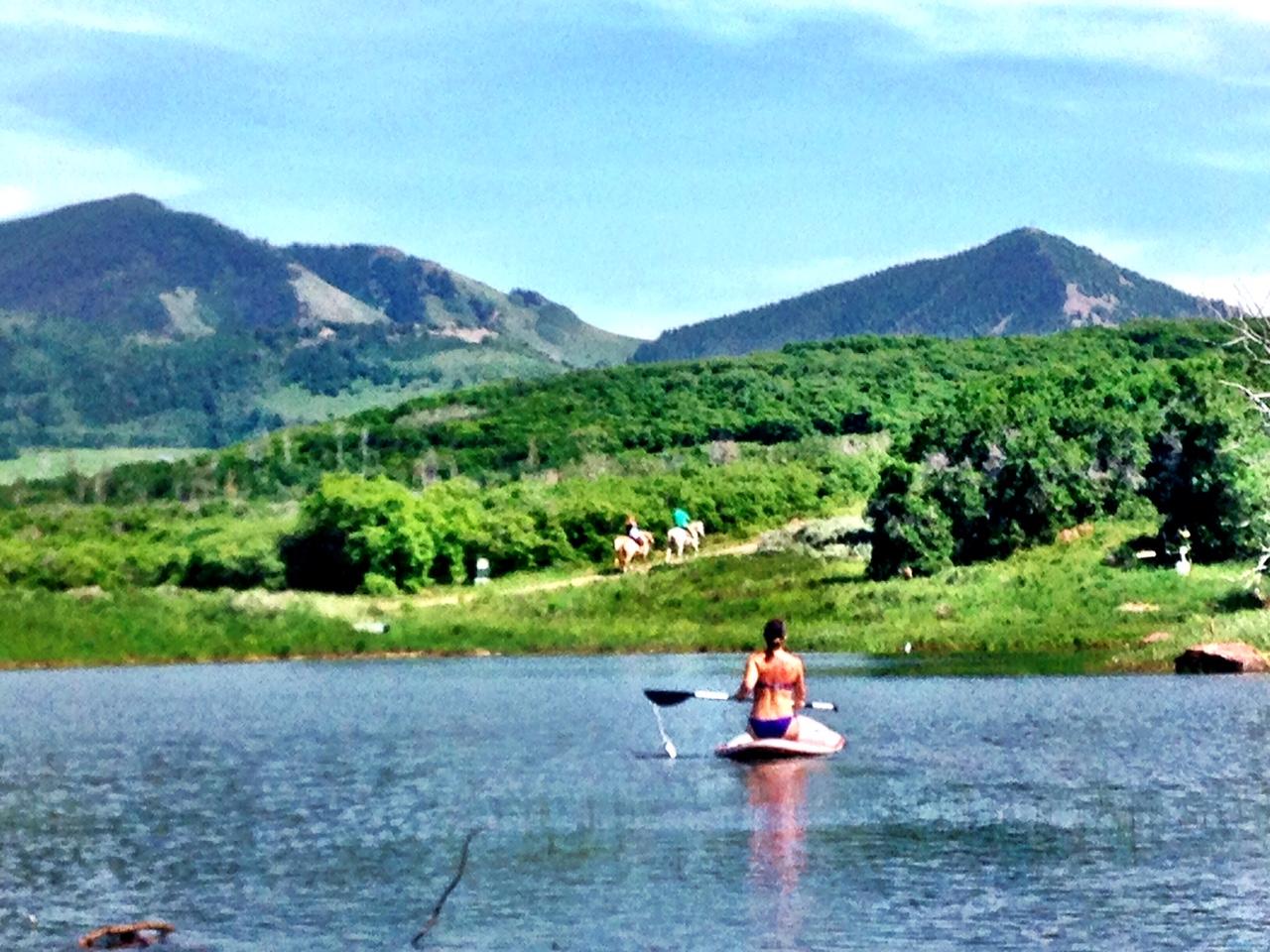 799 Harcourt Trail Placerville, CO 81430 - Photo 26 of 29 a outdoor view of garden