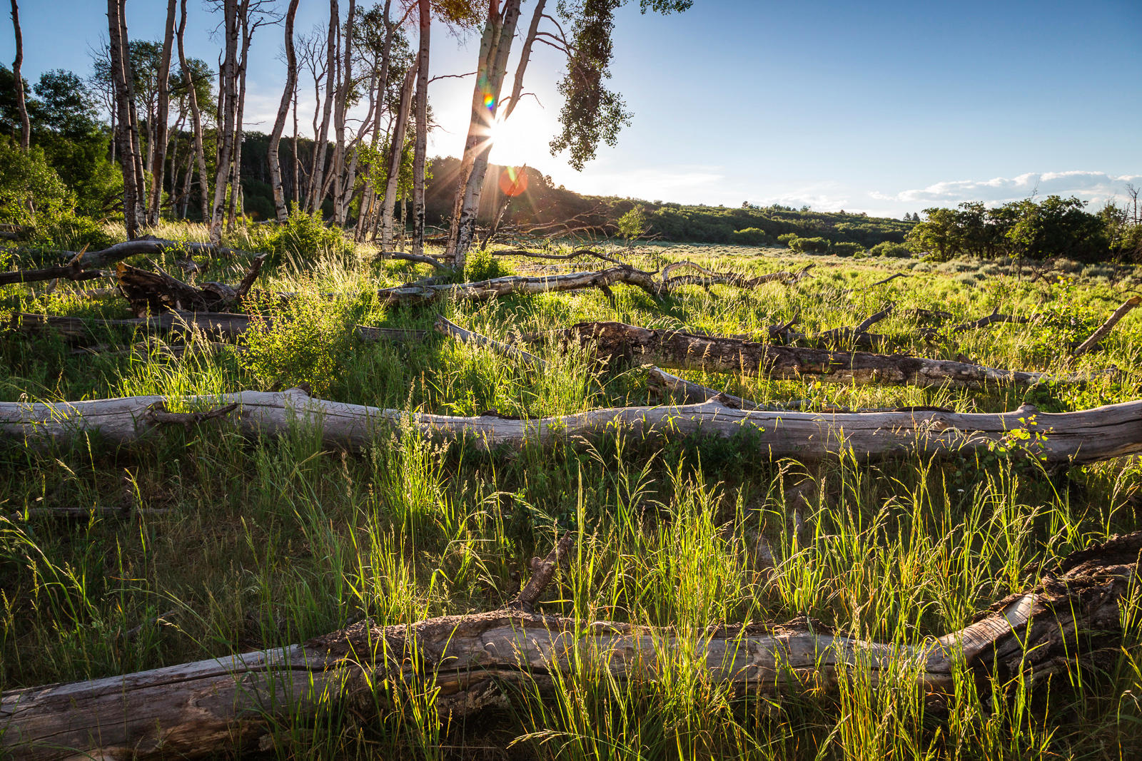 799 Harcourt Trail Placerville, CO 81430 - Photo 27 of 29 a view of a lake